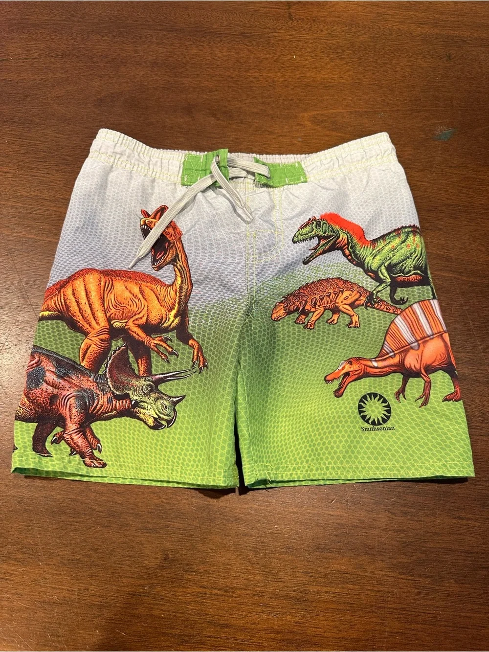 Kids' Green Dinosaur Print Swim Shorts with Drawstring